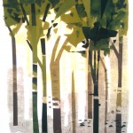 New Studies